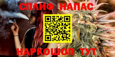 дмт Ставрополь