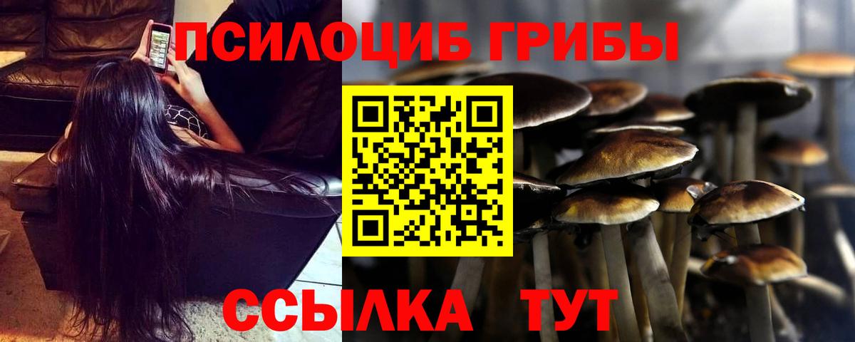 Минеральные Воды  Галлюциногенные грибы Magic Shrooms  Вход с VPN 